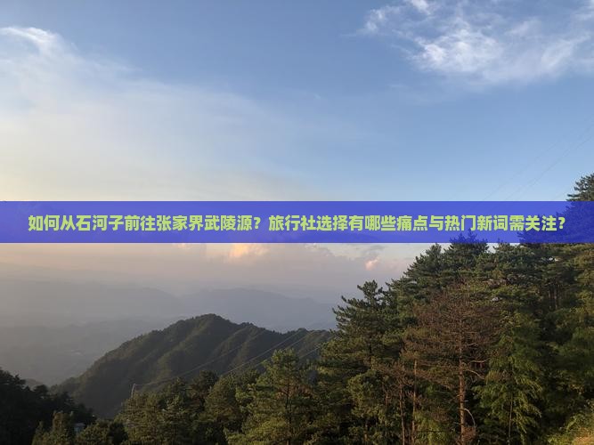 如何从石河子前往张家界武陵源？旅行社选择有哪些痛点与热门新词需关注？