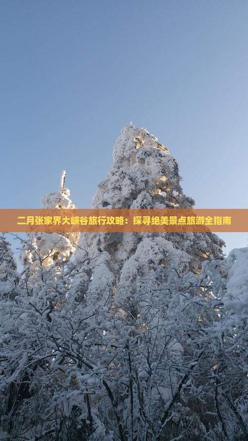 二月张家界大峡谷旅行攻略：探寻绝美景点旅游全指南