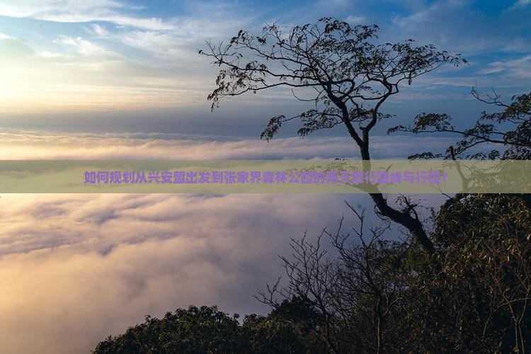 如何规划从兴安盟出发到张家界森林公园的两天旅行路线与行程？