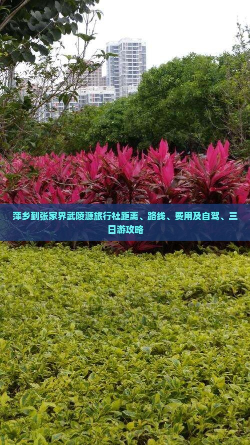 萍乡到张家界武陵源旅行社距离、路线、费用及自驾、三日游攻略