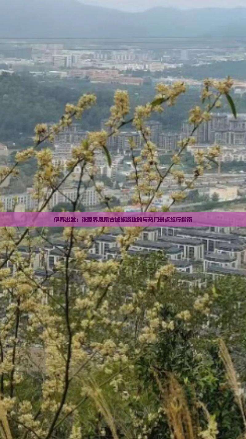 伊春出发：张家界凤凰古城旅游攻略与热门景点旅行指南