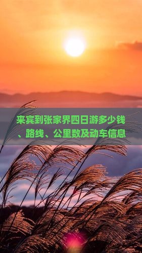 来宾到张家界四日游多少钱、路线、公里数及动车信息