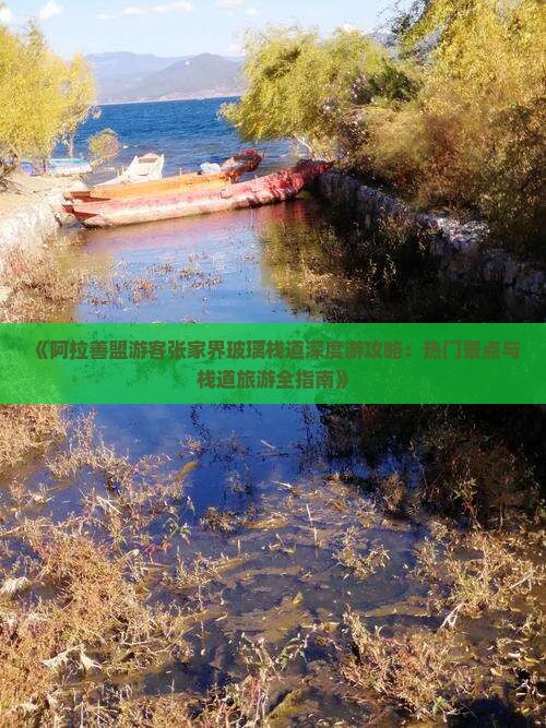 《阿拉善盟游客张家界玻璃栈道深度游攻略：热门景点与栈道旅游全指南》
