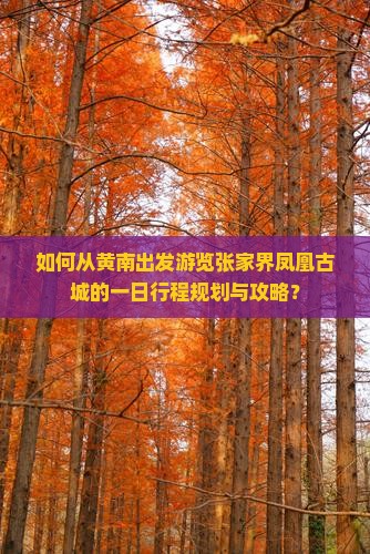 如何从黄南出发游览张家界凤凰古城的一日行程规划与攻略？