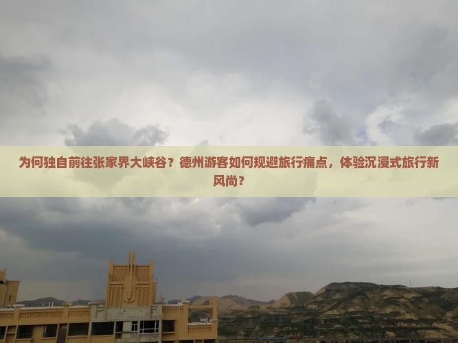 为何独自前往张家界大峡谷？德州游客如何规避旅行痛点，体验沉浸式旅行新风尚？