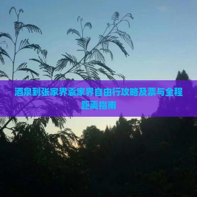 酒泉到张家界袁家界自由行攻略及票与全程距离指南