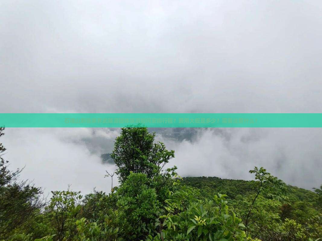 石嘴山到张家界武陵源团体旅游如何安排行程？费用大概是多少？需要注意什么？