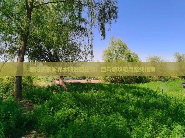 濮阳去张家界大峡谷自由行：自驾游攻略与路线指南