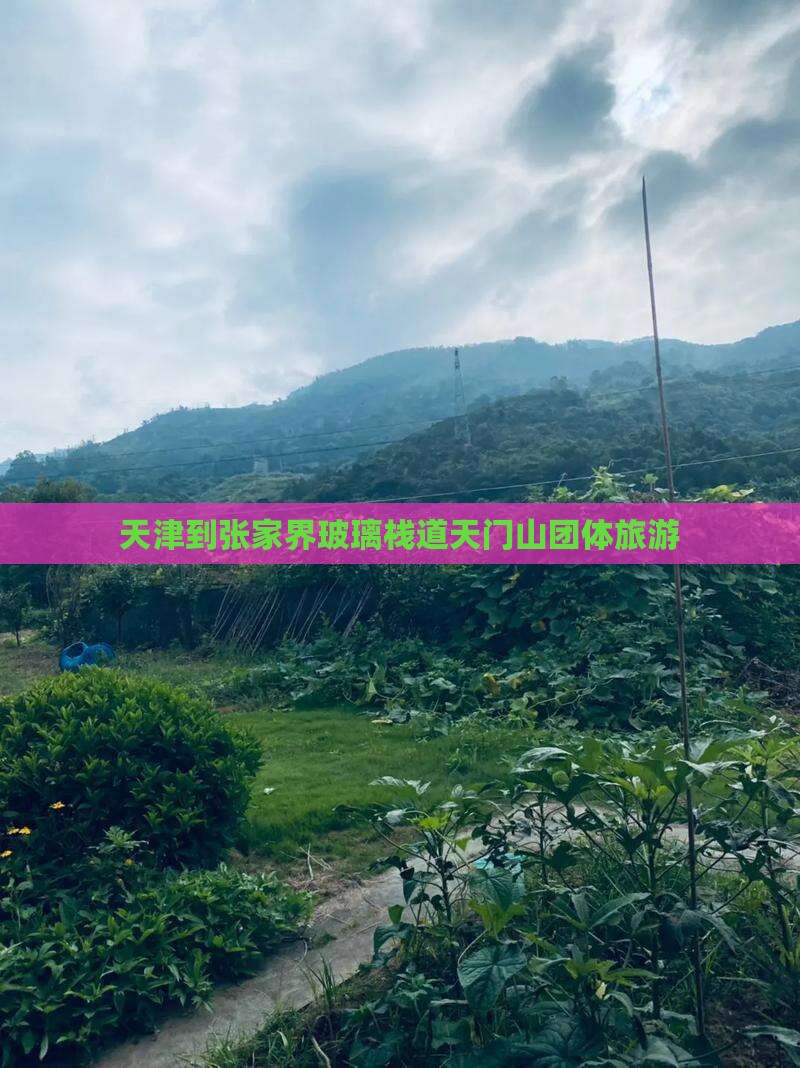 天津到张家界玻璃栈道天门山团体旅游