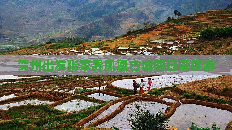贺州出发张家界凤凰古城四日深度游