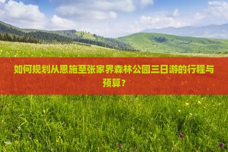 如何规划从恩施至张家界森林公园三日游的行程与预算？