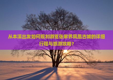 从本溪出发如何规划游览张家界凤凰古城的详细行程与旅游攻略？