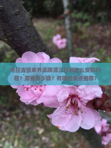 枣庄去张家界武陵源三日游怎么安排行程？需要多少钱？有哪些景点推荐？