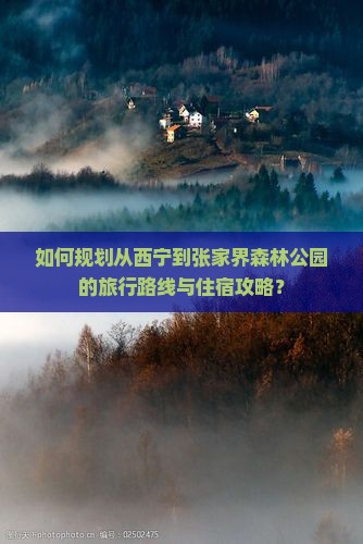 如何规划从西宁到张家界森林公园的旅行路线与住宿攻略？