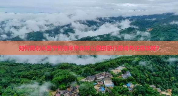 如何规划从西宁到张家界森林公园的旅行路线与住宿攻略？
