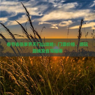 春节去张家界天门山攻略：门票价格、游玩路线及自驾指南