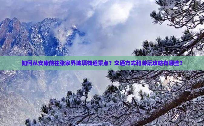 如何从安康前往张家界玻璃栈道景点？交通方式和游玩攻略有哪些？