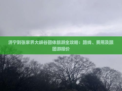济宁到张家界大峡谷团体旅游全攻略：路线、费用及跟团游报价