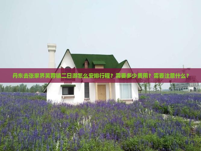 丹东去张家界芙蓉镇二日游怎么安排行程？需要多少费用？需要注意什么？
