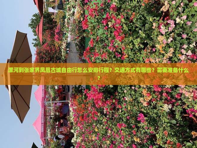 漯河到张家界凤凰古城自由行怎么安排行程？交通方式有哪些？需要准备什么？