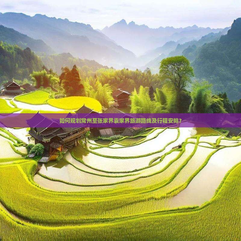 如何规划常州至张家界袁家界旅游路线及行程安排？
