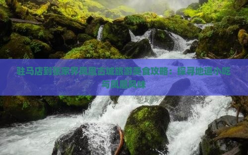 驻马店到张家界凤凰古城旅游美食攻略：探寻地道小吃与凤凰风味