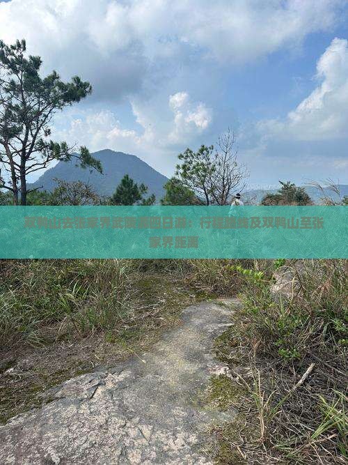 双鸭山去张家界武陵源四日游：行程路线及双鸭山至张家界距离