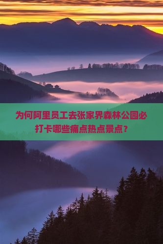 为何阿里员工去张家界森林公园必打卡哪些痛点热点景点? 为何阿里员工去张家界森林公园必打卡哪些痛点热点景点?