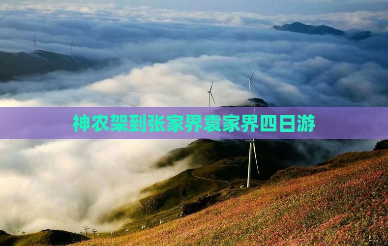 神农架到张家界袁家界四日游