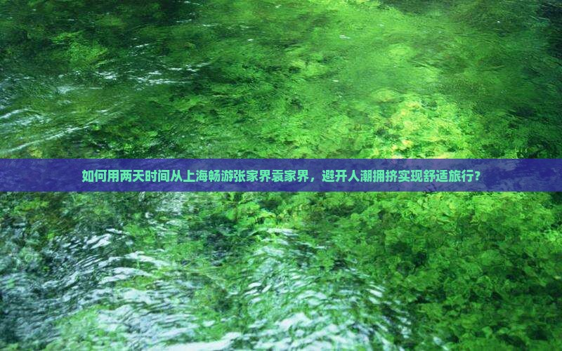 如何用两天时间从上海畅游张家界袁家界,避开人潮拥挤实现舒适旅行? 如何用两天时间从上海畅游张家界袁家界,避开人潮拥挤实现舒适旅行?