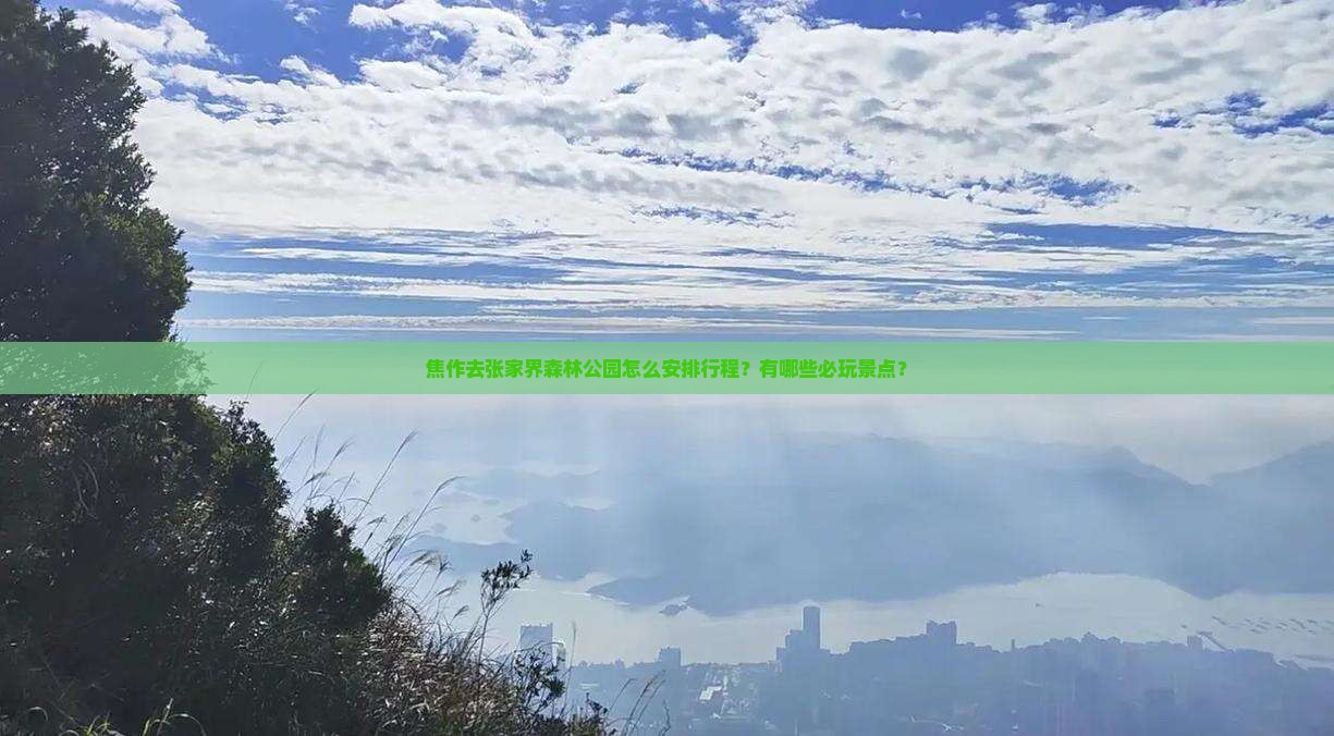 焦作去张家界森林公园怎么安排行程？有哪些必玩景点？