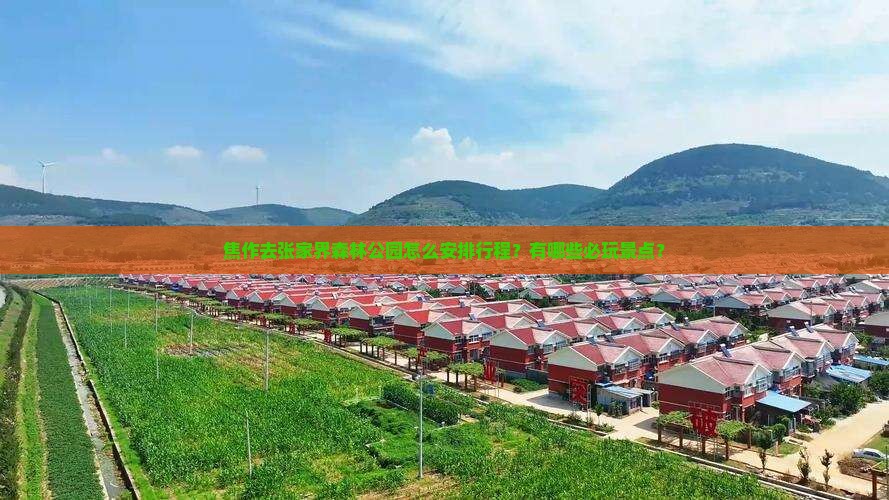 焦作去张家界森林公园怎么安排行程？有哪些必玩景点？