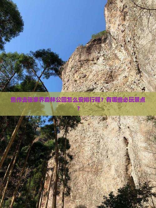 焦作去张家界森林公园怎么安排行程？有哪些必玩景点？