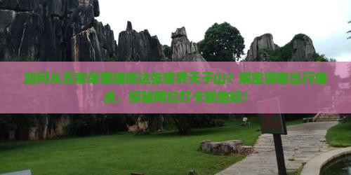 如何从五家渠便捷抵达张家界天子山？解密游客出行痛点，探秘网红打卡新地标！