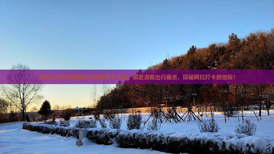 如何从五家渠便捷抵达张家界天子山？解密游客出行痛点，探秘网红打卡新地标！