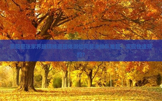 贵阳至张家界玻璃栈道团体游如何解决排队难题，实现快速预约？