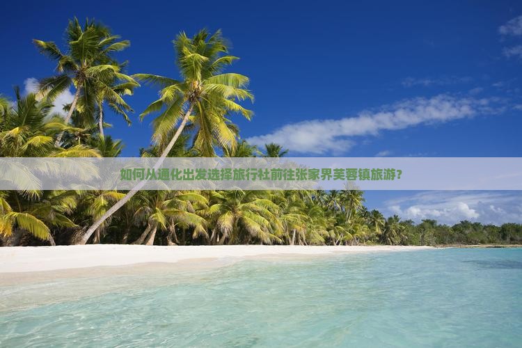 如何从通化出发选择旅行社前往张家界芙蓉镇旅游？