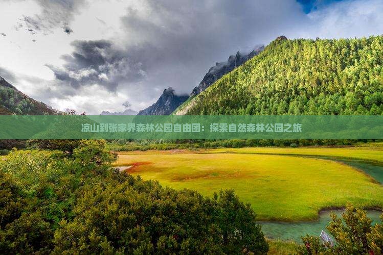 凉山到张家界森林公园自由团：探索自然森林公园之旅