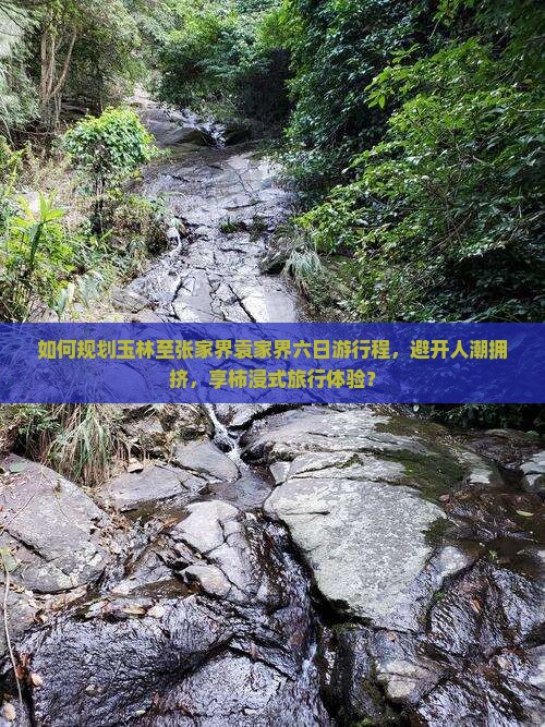 如何规划玉林至张家界袁家界六日游行程，避开人潮拥挤，享柿浸式旅行体验？