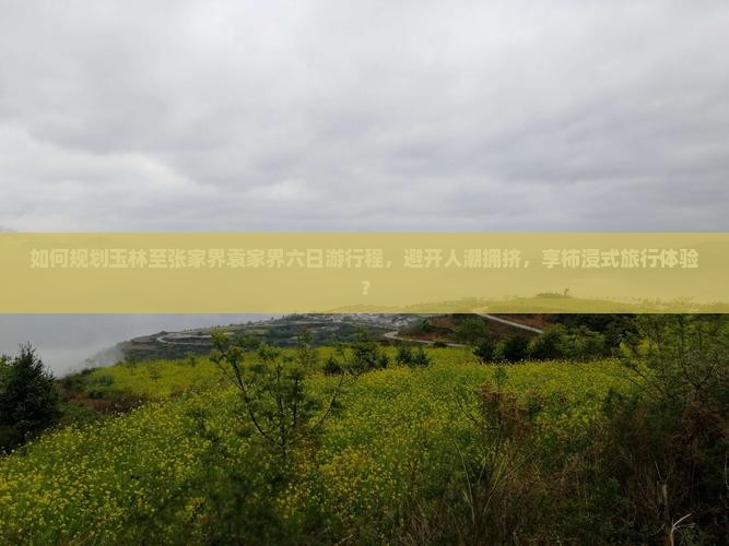 如何规划玉林至张家界袁家界六日游行程，避开人潮拥挤，享柿浸式旅行体验？