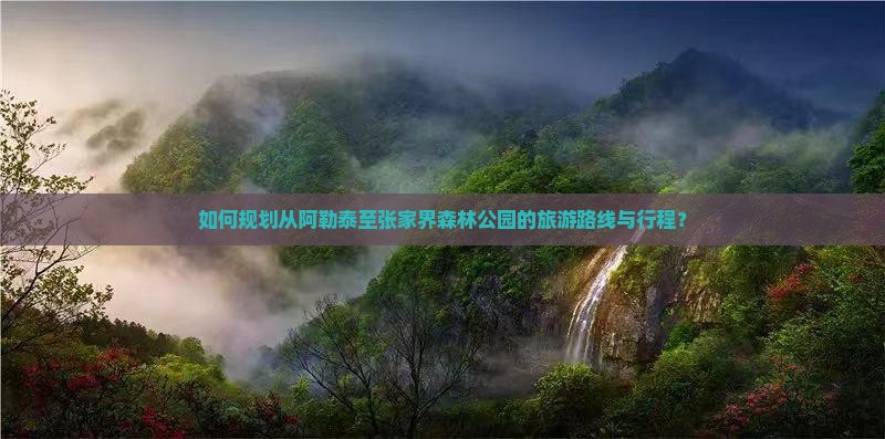 如何规划从阿勒泰至张家界森林公园的旅游路线与行程？