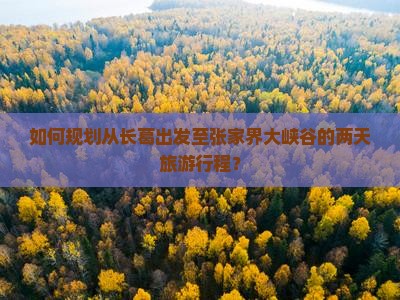 如何规划从长葛出发至张家界大峡谷的两天旅游行程？