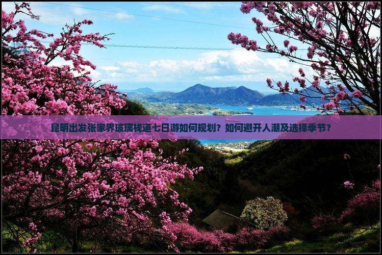昆明出发张家界玻璃栈道七日游如何规划？如何避开人潮及选择季节？