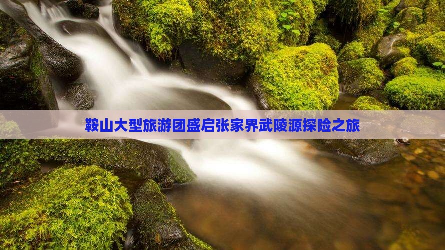 鞍山大型旅游团盛启张家界武陵源探险之旅