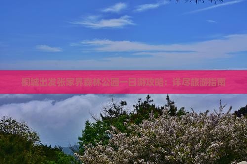 桐城出发张家界森林公园一日游攻略：详尽旅游指南