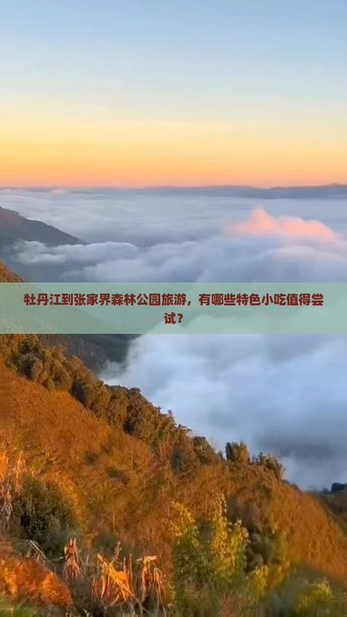 牡丹江到张家界森林公园旅游，有哪些特色小吃值得尝试？