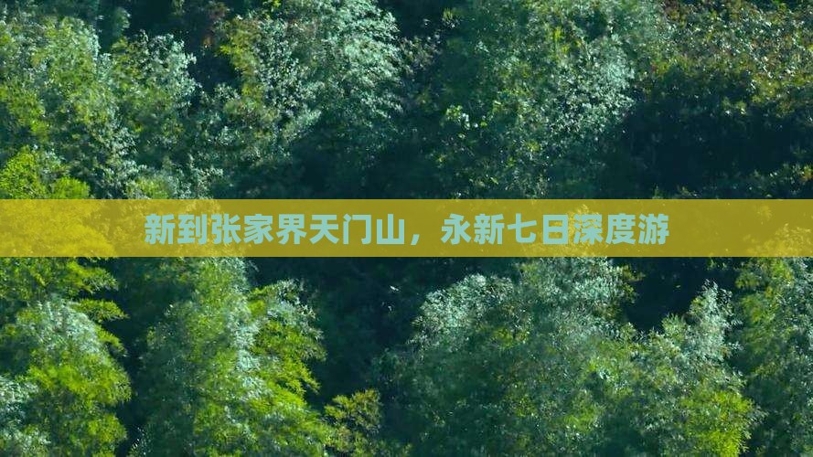 新到张家界天门山，永新七日深度游