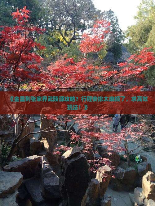 《金昌到张家界武陵源攻略？行程安排太麻烦了，求高效玩法！》