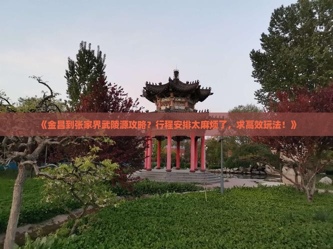 《金昌到张家界武陵源攻略？行程安排太麻烦了，求高效玩法！》