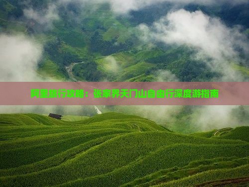 阿里旅行攻略：张家界天门山自由行深度游指南